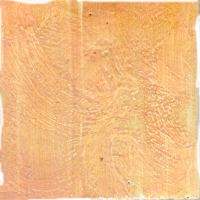 fo.jpg (7426 bytes)